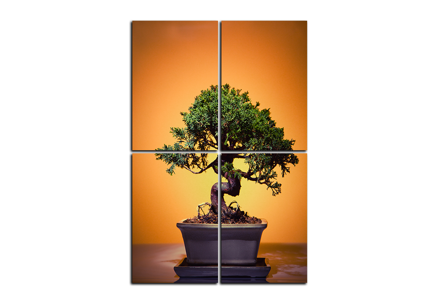 Obraz na plátně - Bonsai - obdélník Obraz na plátně - Bonsai - obdélník